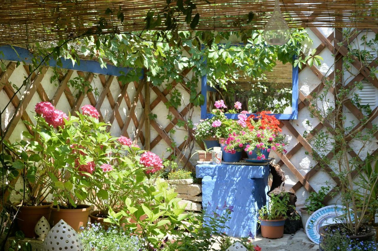 Trulli Del Corso B&B Αλμπερομπέλο Εξωτερικό φωτογραφία